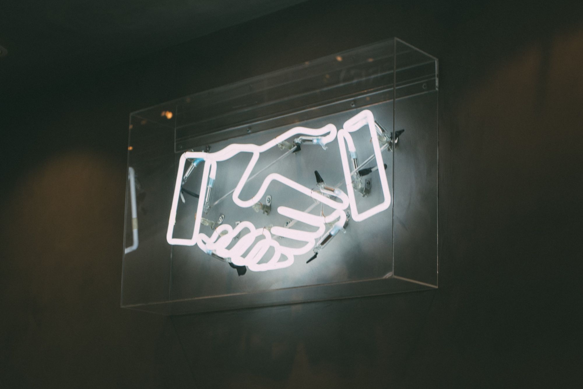 luther-m-e-bottrill-EsBufnuK4NE-unsplash